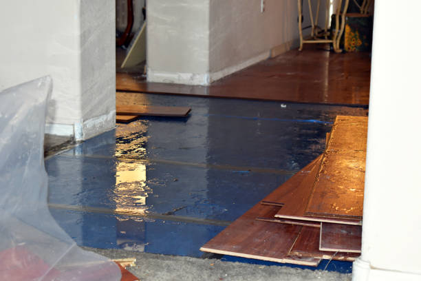 Professional Water Removal technician working in Chana, IL